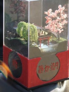 Gift 05.JPG