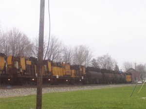 Picture-011.jpg