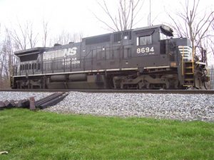 Picture-003.jpg