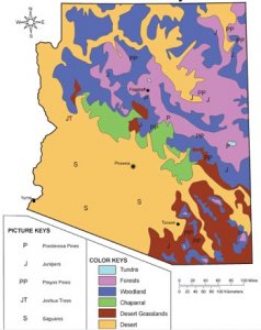 map 2.jpg