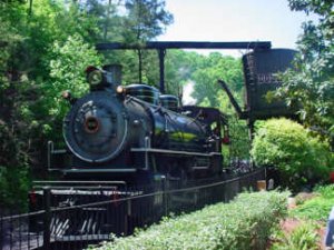DWE192steamwater.jpg