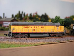 Copy of P5250330.JPG