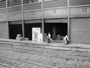 169.jpg