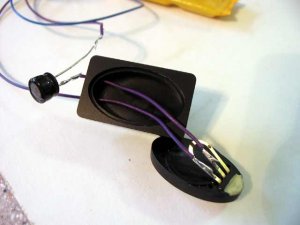 Speaker.jpg