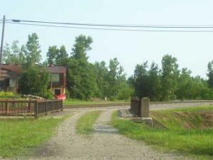 Picture-004.jpg