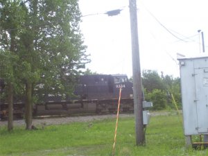 Picture-006.jpg