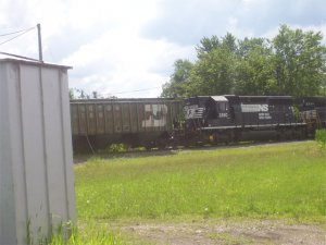 Picture-007.jpg