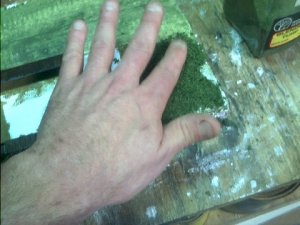 orehill73.jpg