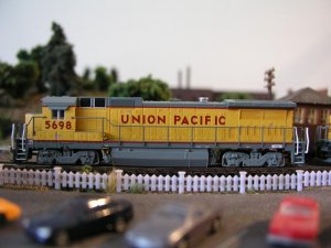 Copy of P8020600.JPG
