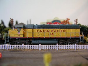 Copy of P8020601.JPG