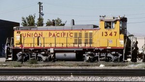 UPY1347-81405.JPG
