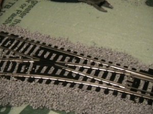 IMG_2584.JPG