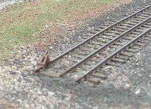 track.jpg