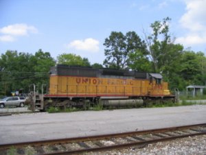 IMG_1258.JPG