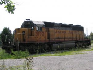 IMG_1269.JPG