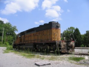IMG_1263.JPG