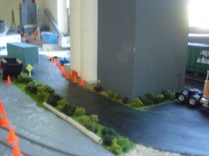 Bushes.jpg