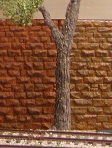 P1010774a.jpg