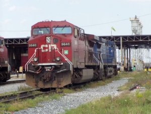 9640.jpg