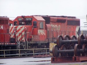 5711.jpg