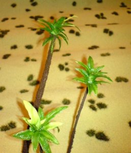 palm10.jpg