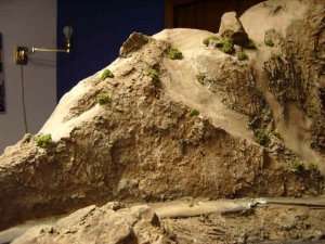 Scenery 073.jpg