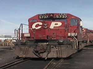5737.jpg