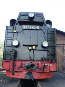 DSC02304.jpg