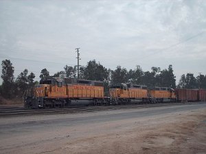 HPIM0334p2.jpg
