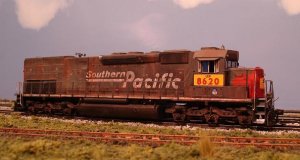 sp22.JPG