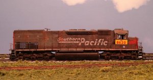 sp44.JPG