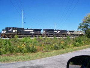 ns no paint dalton ga.jpg