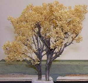 tree image posting 003.JPG