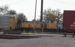 J3.JPG
