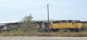 J7.JPG