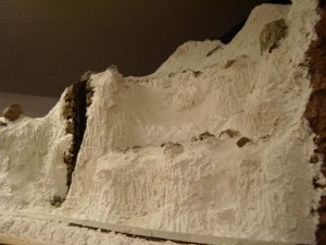 Scenery 041 small.jpg