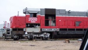 dgno2000.jpg