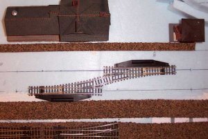 Picture 4.jpg