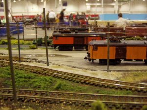 TCTS2006 022.jpg