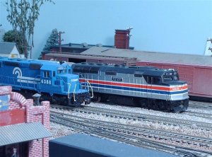 HPIM6449 (Small).JPG