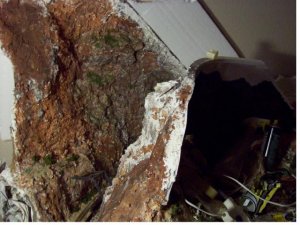 rock face progress.jpg