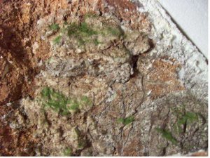 rock face 2.jpg