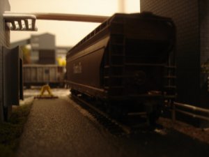 DSC02855.JPG