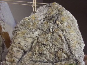 rock face.jpg