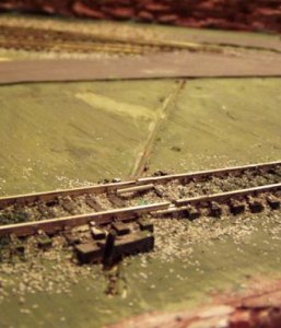 pictures from my new in progress Layout 035.jpg