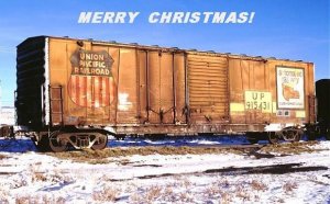 MERRY C.JPG