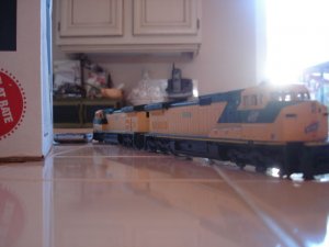 DSC03080.JPG