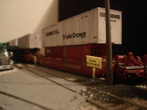 DSC03097.JPG