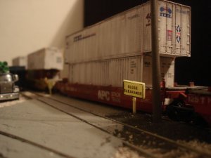 DSC03102.JPG