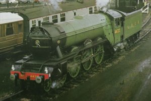 scotsman02.jpg